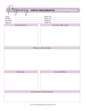 Birth Preferences Printable Pregnancy Planner