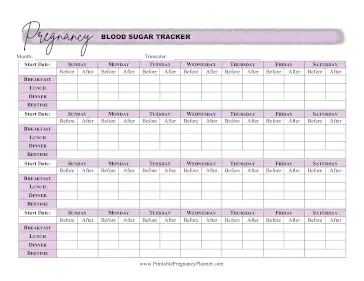 Blood Sugar Tracker Printable Pregnancy Planner