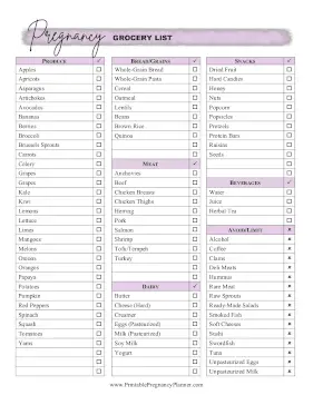 Grocery List Printable Pregnancy Planner
