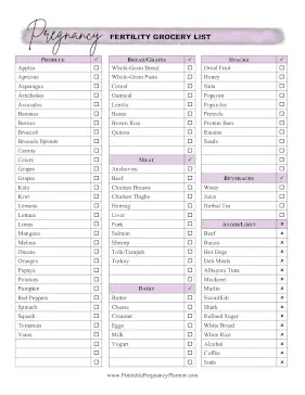 Grocery List TTC Printable Pregnancy Planner