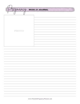 Pregnancy Journal Week 20 Printable Pregnancy Planner