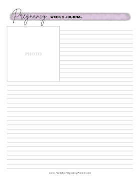 Pregnancy Journal Week 5 Printable Pregnancy Planner