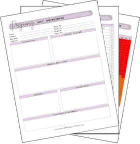 Pregnancy Planners Collection Printable Pregnancy Planner