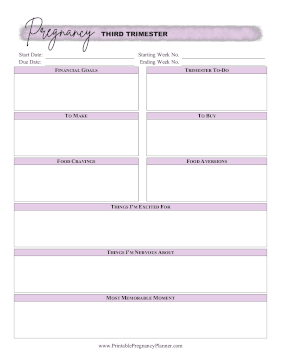 Third Trimester Printable Pregnancy Planner